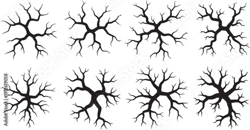 Collection of black branching tree like structures on white