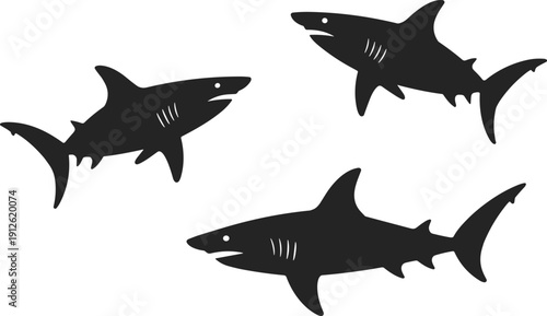 Three Great White Shark Silhouettes in Dynamic Swimming Poses Isolated on White Background Marine Predator Vector Illustration