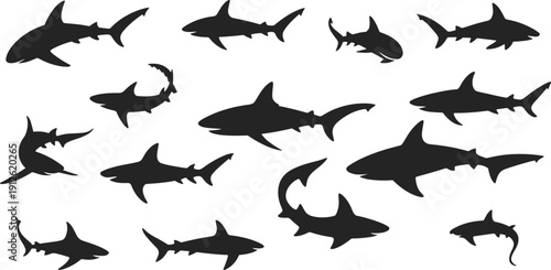 Extensive Shark Silhouette Collection in Various Dynamic Poses Isolated on White Background Marine Predator Ocean Vector Illustration