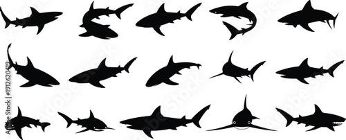 Large Collection of Shark Silhouettes in Various Swimming Poses Isolated on White Background Marine Predator Ocean Vector Set