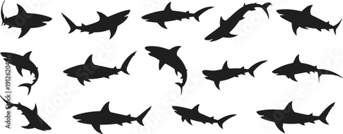 Collection of Shark Silhouettes in Dynamic Swimming Poses Isolated on White Background Marine Predator Ocean Wildlife Vector Illustration Set