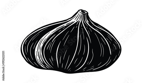 Hand drawn black and white illustration of a single fig fruit