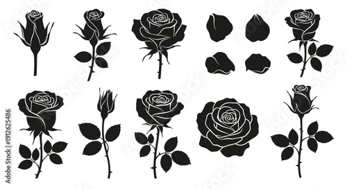 A collection of black silhouette rose illustrations showcasing various stages of bloom and leaf arrangements high quality professional detailed