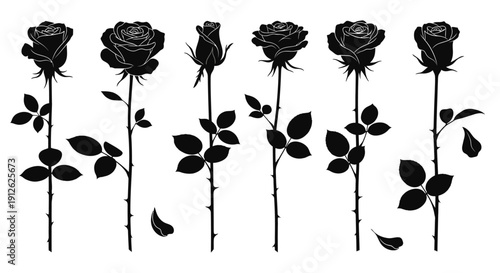 A series of six black silhouette rose blooms and stems with leaves arranged in a horizontal line high quality