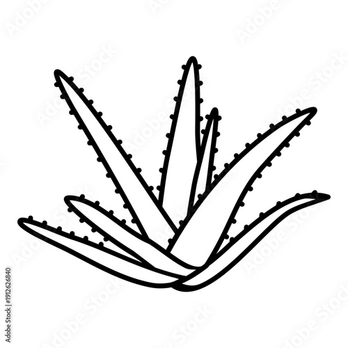 aloe vera line icon