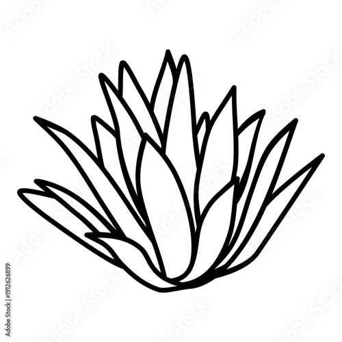 century plant line icon