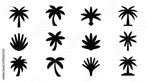 Collection of twelve diverse palm tree silhouettes in various styles and arrangements against a clean white background
