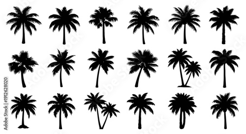 palm tree silhouettes tropical trees isolated on white versatile graphic elements for summer beach and travel themes. vector artwork.