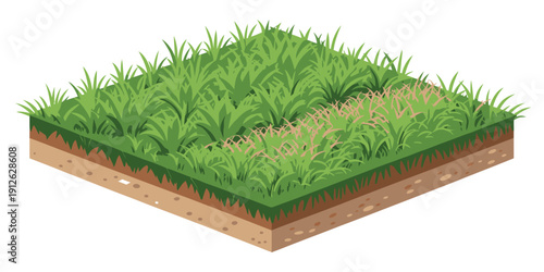 Healthy grass grows on fertile soil layers naturally