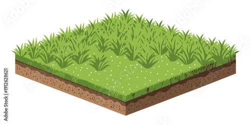 Detailed cross-section of grassy terrain with soil layers