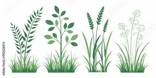 Collection of various green plants and grasses