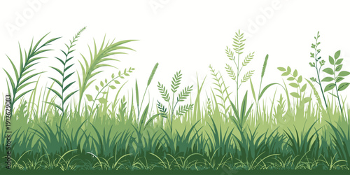 Lush green grass and plants growing wildly outdoors