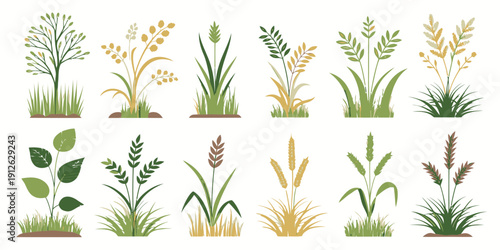 Variety of grass and plant species in natural setting