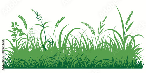 Lush green grass and plants growing wildly outdoors