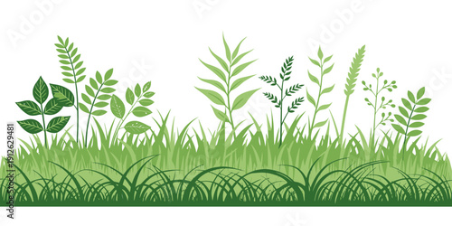 Lush green grass and plants growing naturally outdoors
