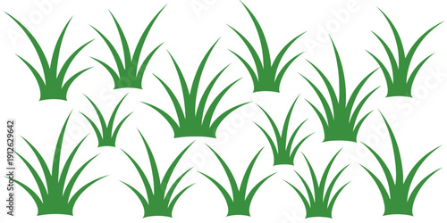 Green grass tufts in natural setting for design projects