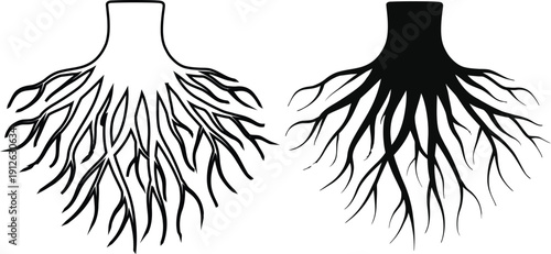 Set of Tree Roots Vector Illustration Isolated on White Background – Stylized Fibrous Root System and Underground Growth Silhouette