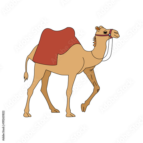 Desert Camel With Saddle