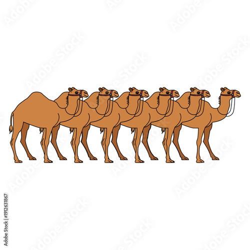 Row Of Desert Camels