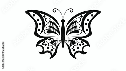 Beautiful butterfly with intricate black and white design