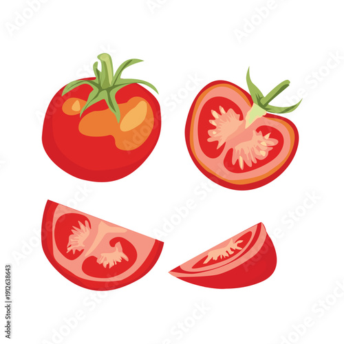 Sliced Vegetables Set tomato illustration on white background vol 01