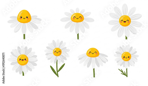 Cute Chamomile Daisy Flower Vector Set Cartoon Camomile Icons