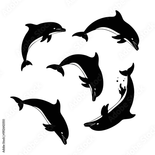 Dolphin Silhouette Vector Jumping Sea Animals