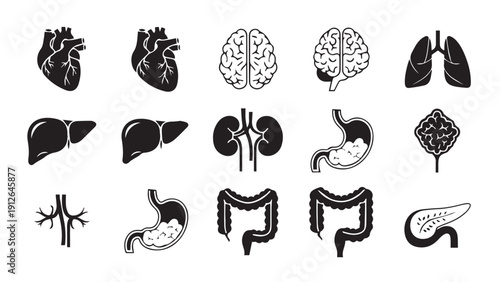 Collection of Black and White Illustrations of Internal Human Organs and Anatomy.