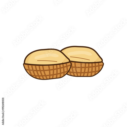 Hand Drawn Peanut Illustration