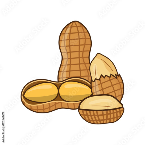 Organic Peanut Shell Illustration