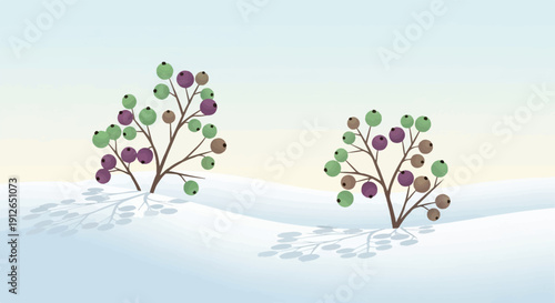 Two small winter berry bushes with shadows on a snowy landscape