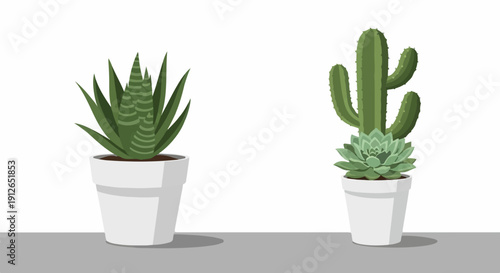 Two potted succulents, a striped aloe vera and a tall cactus with rosette