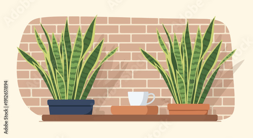 Two potted snake plants on a shelf with a mug on a book