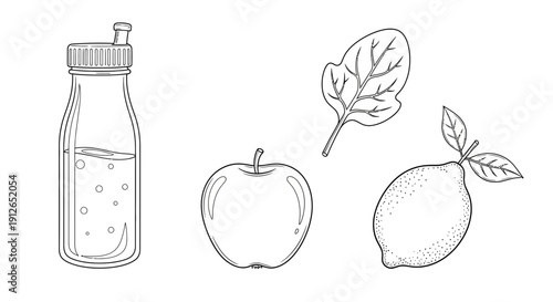 Healthy Drink Ingredients: Apple, Lemon, Spinach, and Water Bottle - Line Art