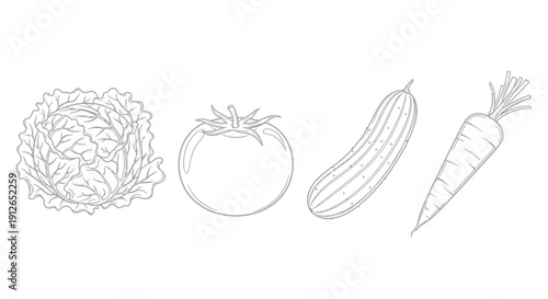 Fresh Vegetables Line Art: Cabbage, Tomato, Cucumber, Carrot - Healthy Eating