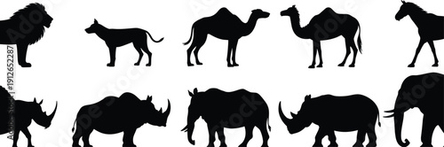 Collection of wild animal silhouettes including lion, wolf, camels, horse, rhinoceros and elephant isolated on white background vector illustration set safari wildlife bundle