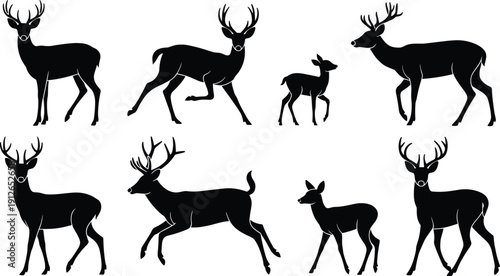 Deer silhouettes collection with stag, buck and fawn isolated on white background vector illustration set woodland wildlife animals bundle