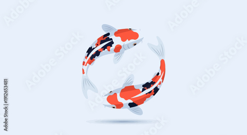 Two ornate koi fish swim in a circular motion against a pale blue backdrop