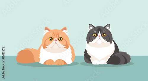 Two fluffy, round-faced cartoon cats, one orange, one grey, sit calmly