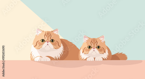 Two fluffy Persian cats with orange and white fur rest behind a coral surface