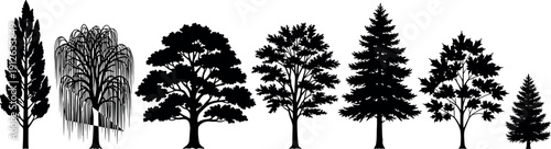 Tree silhouette lineup featuring diverse species including pine, willow, oak, maple, and evergreen forms, botanical nature elements, forest landscape design illustration