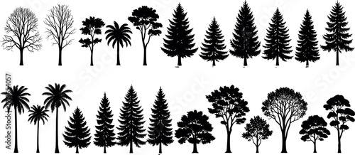 Tree silhouette set collection including pine palm oak and deciduous trees isolated on white background nature forest vector illustration