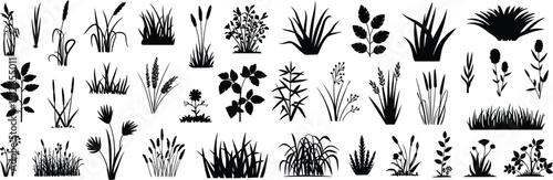Black and white botanical silhouettes set featuring assorted grass, leaves, flowers, and foliage elements isolated on white background for design use vector