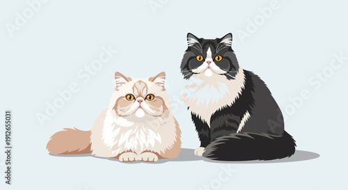 Two fluffy long-haired cats, one cream and one black and white, sit together