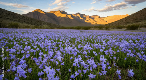 Vast field of blue wildflowers meets golden mountain sunrise