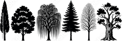 Tree silhouettes collection featuring deciduous evergreen willow oak pine shapes for landscape forest nature vector illustration