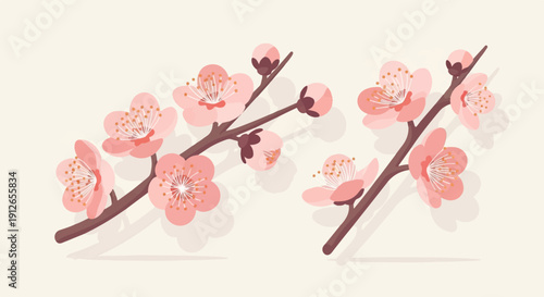 Two delicate branches adorned with soft pink blossoms and buds