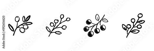 Berry Branches Line Icon Set In Doodle Style. Nature, Botanical, And Organic Elements Outline Sketch Collection. Hand Drawn Isolated Vector Illustration
