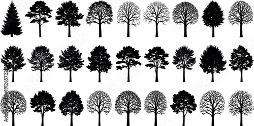 Tree silhouettes mega collection featuring deciduous and evergreen trees, seasonal foliage variations, forest and park vegetation shapes, detailed botanical nature icons isolated on white background
