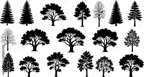 Wallpaper Mural Various tree silhouettes collection with pine, oak and leafless trees, forest nature shapes set, black botanical illustration isolated on white Torontodigital.ca